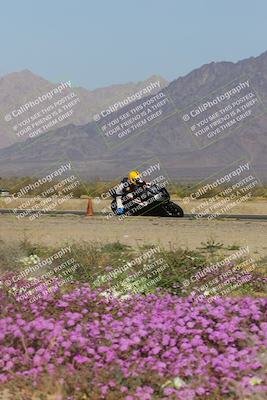 media/Feb-04-2023-SoCal Trackdays (Sat) [[8a776bf2c3]]/Turn 15 Inside Blooming (1050am)/